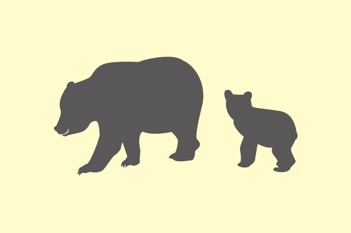 「鹿嶺高原は大丈夫？」公的データで見るクマ情報と備え
